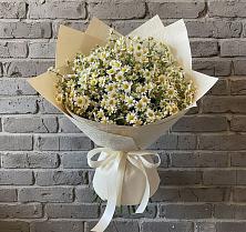 Букет цветов из:  Ромашки #REPLACE_PRED# Козлово