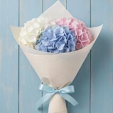 Букет цветов из:  Гортензия в Козлово