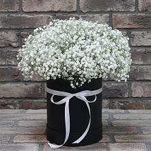 Цветочная композиция из Гипсофила в шляпной коробке в Козлово