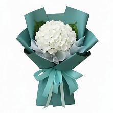 Букет цветов из:  Гортензия #REPLACE_PRED# Козлово
